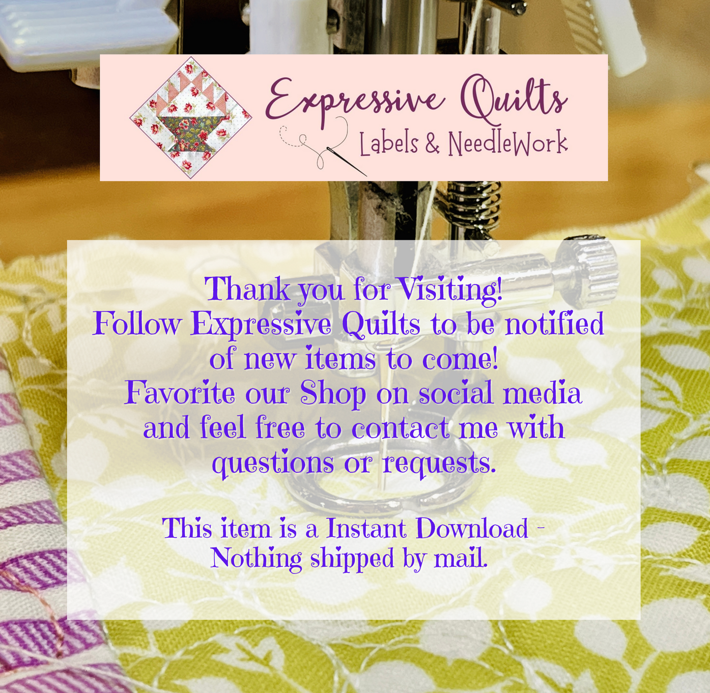 Beginner's Guide to Free-Motion Quilting eBook - PDF 8.5x11" Instant Download